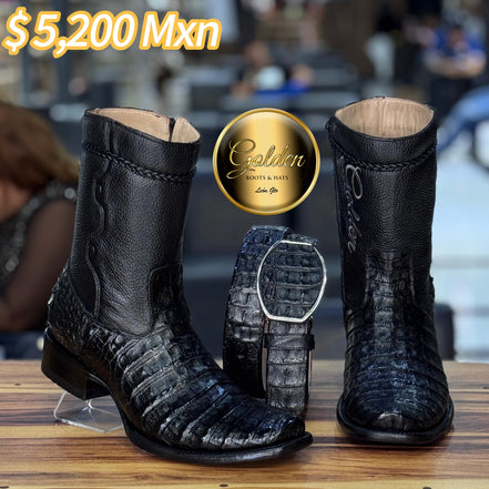 Botín Golden Cocodrilo Panza Negro