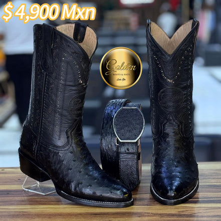 Oval Golden Aveztruz Negro