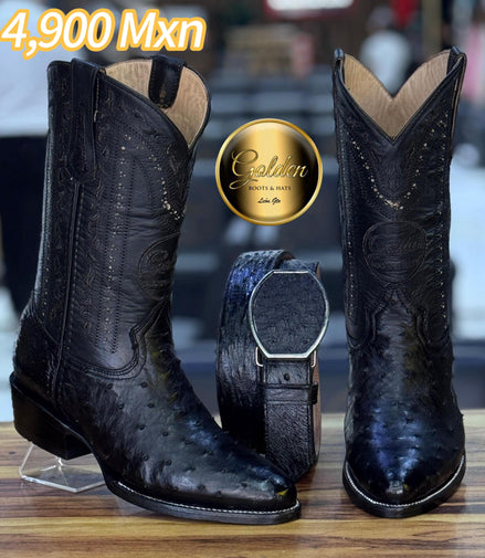 Oval Golden Aveztruz Negro