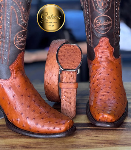 Dubay Golden Aveztruz Coñac