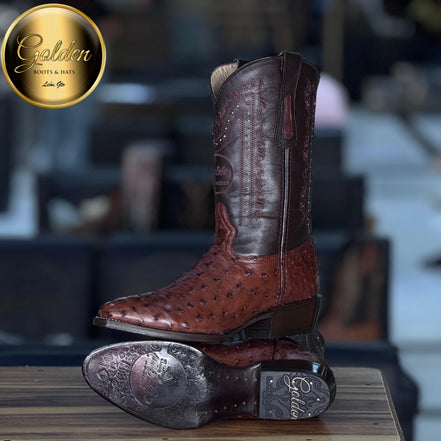 Bota Oval Golden Aveztruz Café